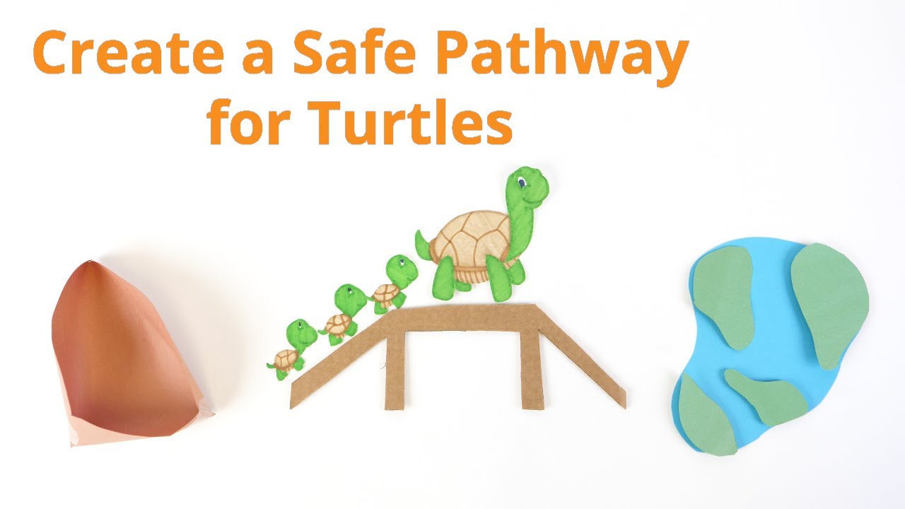 Create a Safe Pathway for Turtles