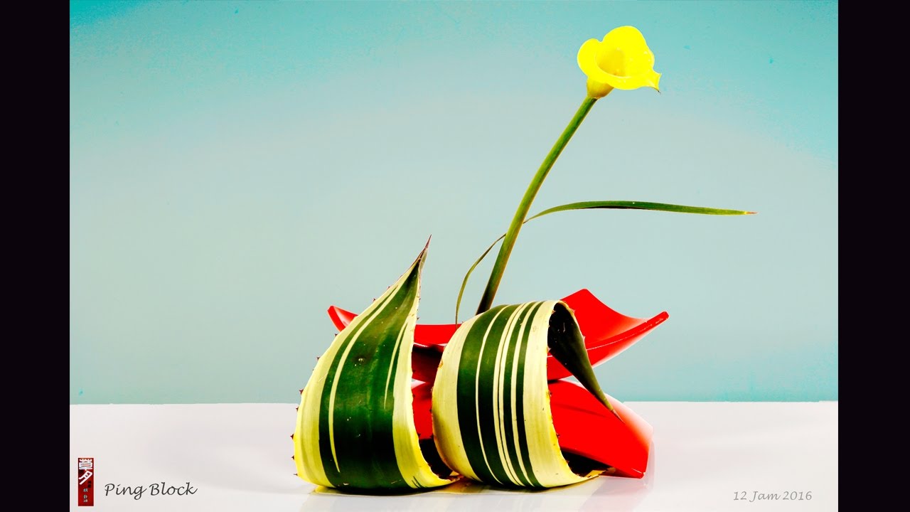 Sogetsu Ikebana Autumn-Winter Arrangements Australia 2016