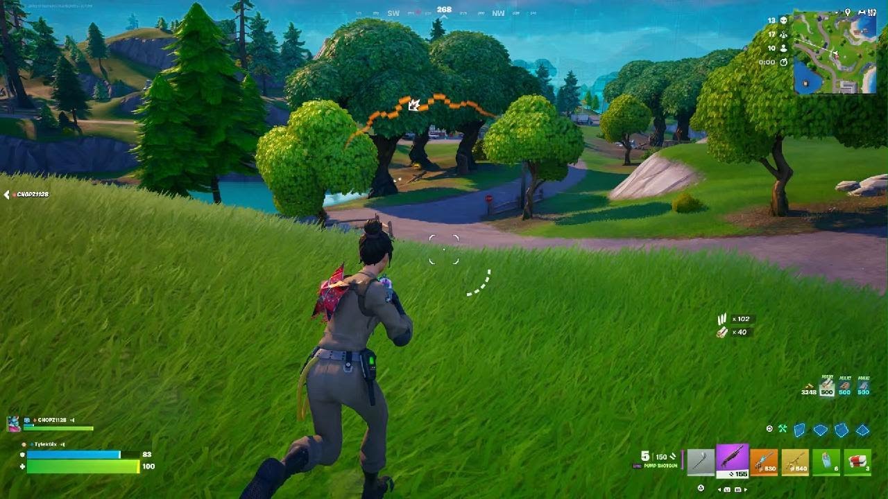 I made the video at the end of the game