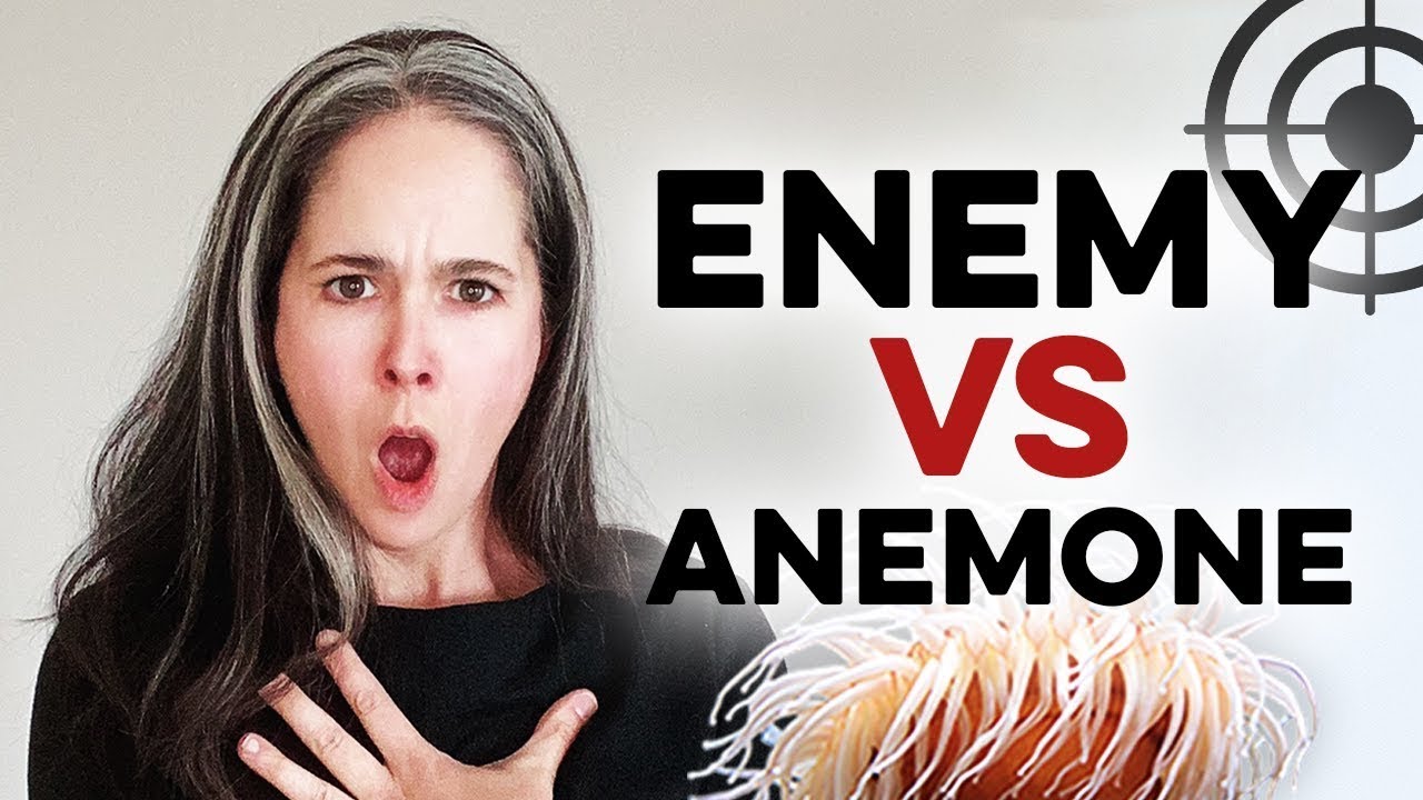 DON'T Get These Words Mixed Up | Confusingly Similar Words