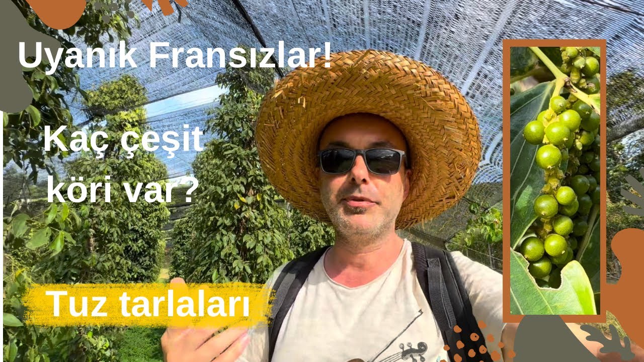 Kamboçya’nın Gizli Hazinesi: Siyah altın! Organik Karabiber Bahçeleri!