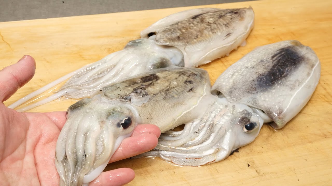 コウイカの捌き方と肝炒めの作り方（他のイカでも、炒める順番で同様に美味しく作れます）