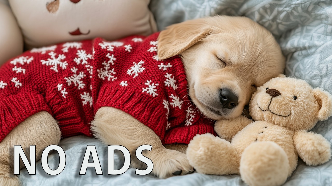 12 HOURS Dog Calming Music 🐶🌸 Smooth Ambient Sounds 🎶 Support Calm Feelings 💤 No Ads