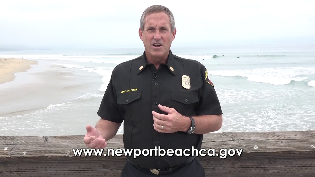 Newport Beach Lifeguard Beach Safety: Shark Education