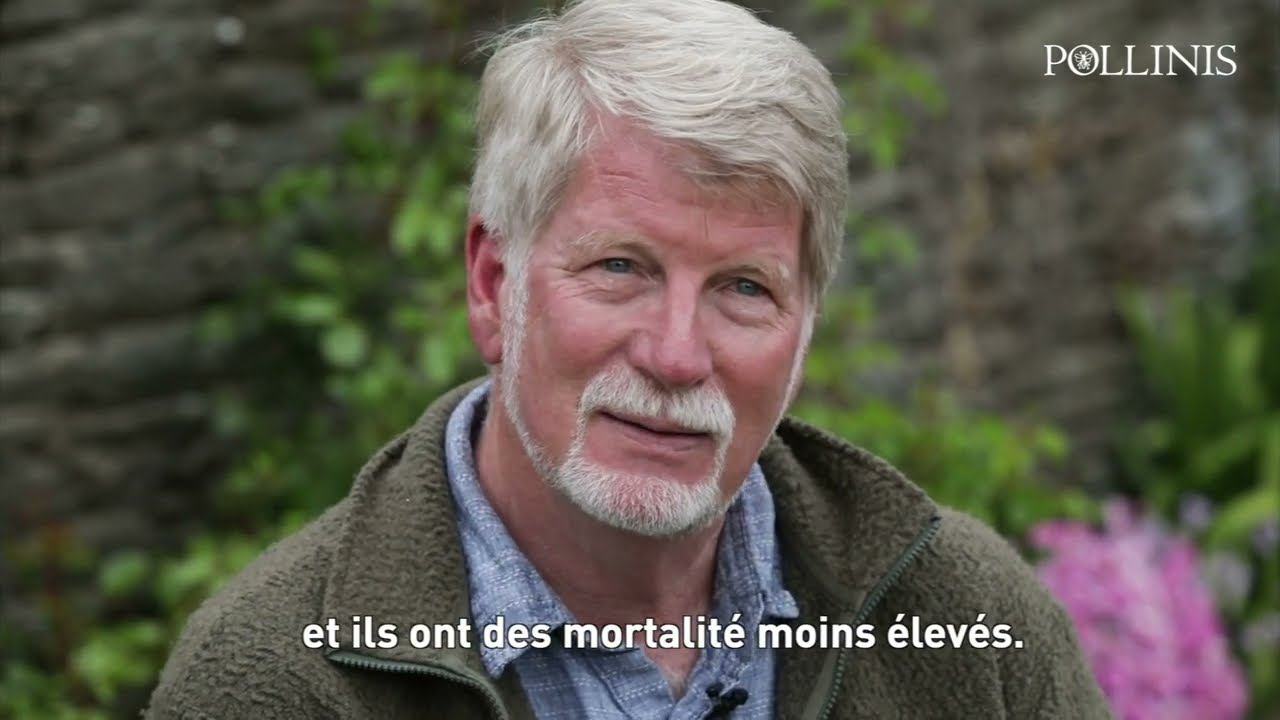 [2021] Groix : étudier les abeilles locales et leur cohabitation avec le Varroa