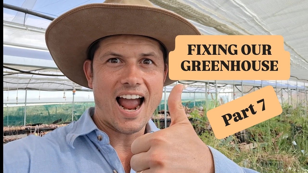 Fixing our greenhouse part 7!