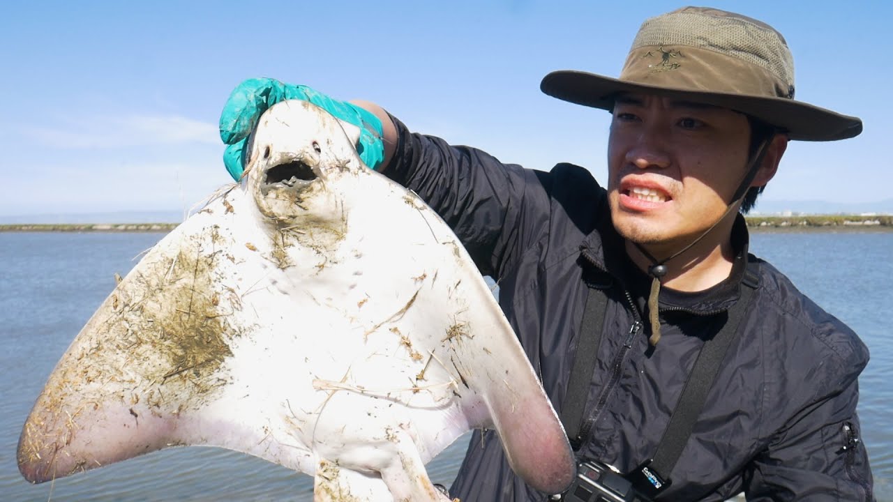 KungFu hustle, Catch and Cook Bat Ray aka Stingray!!