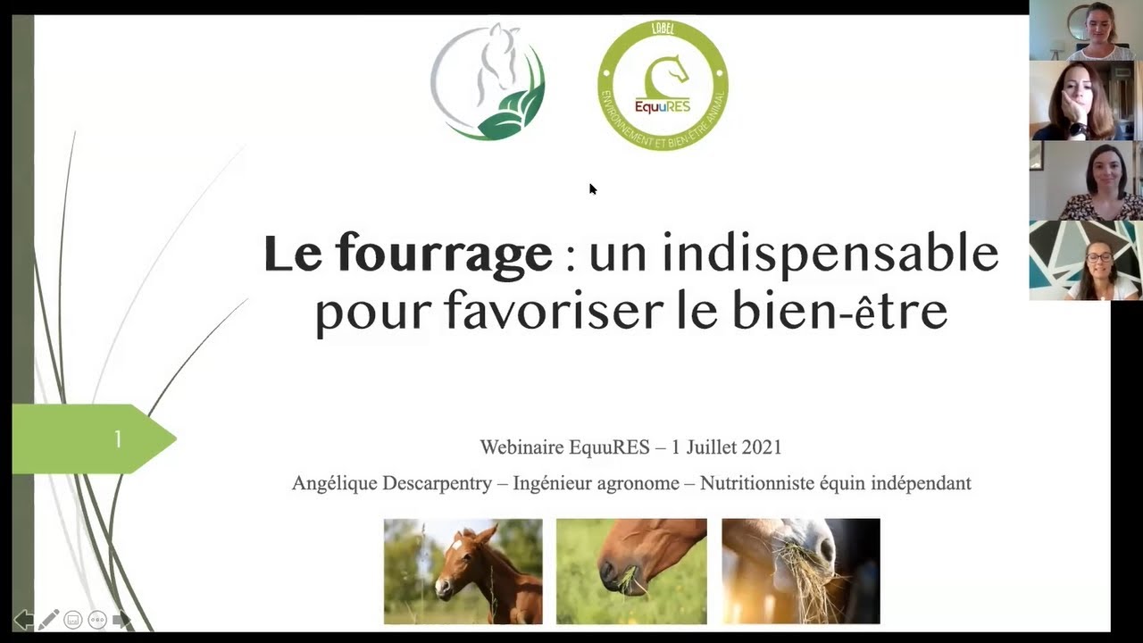 L’importance du fourrage dans l’alimentation et pour le bien-être des chevaux Angélique Descarpentry