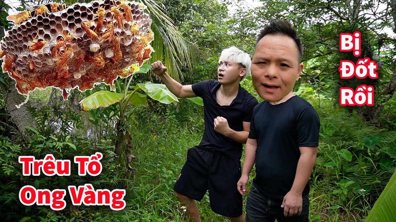 Hậu Cáo - Thử Thách Trêu Tổ Ong Vàng Và Cái Kết Đẹp Trai