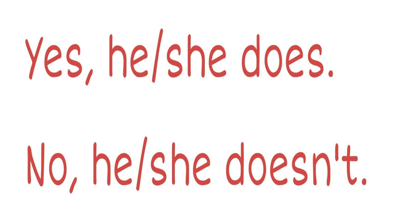 Spotlight 3 Yes, he/she does. No, he/she doesn't. DVD