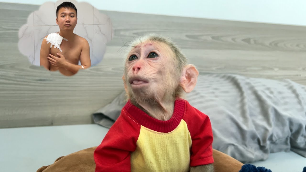 Cubis cried because worried about Dad's Surgery!