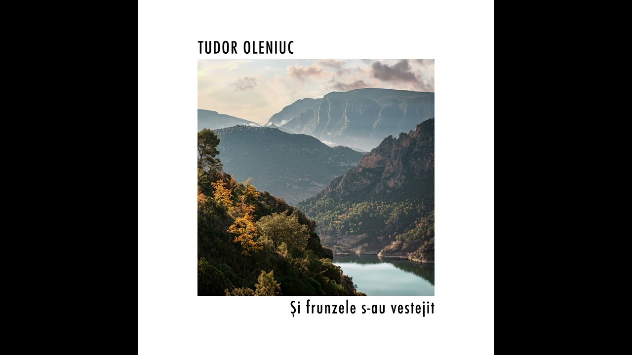 Si frunzele s-au vestejit - Tudor Oleniuc (Cover)
