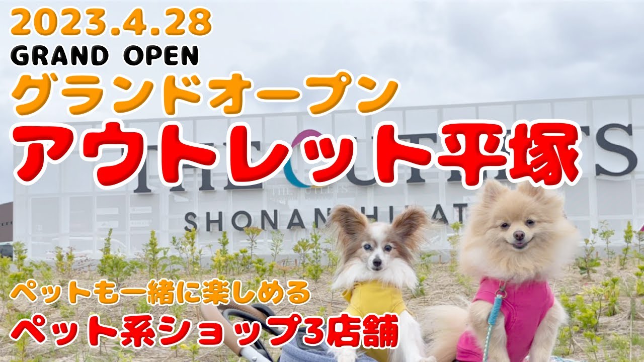 【平塚アウトレット】グランドオープン‼️愛犬と一緒に行ってきたよ🐶初めて見るお店も沢山‼️