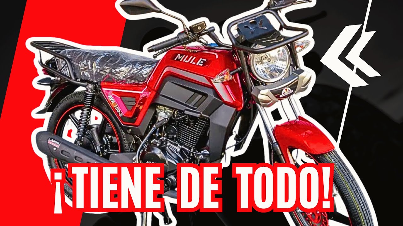 AVA MULE 150 | TODO lo que DEBES SABER | REVIEW | ANÁLISIS | PRECIO