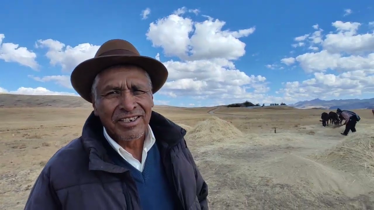 costumbres del pueblo de Huasicancha cosecha faena 16/07/23