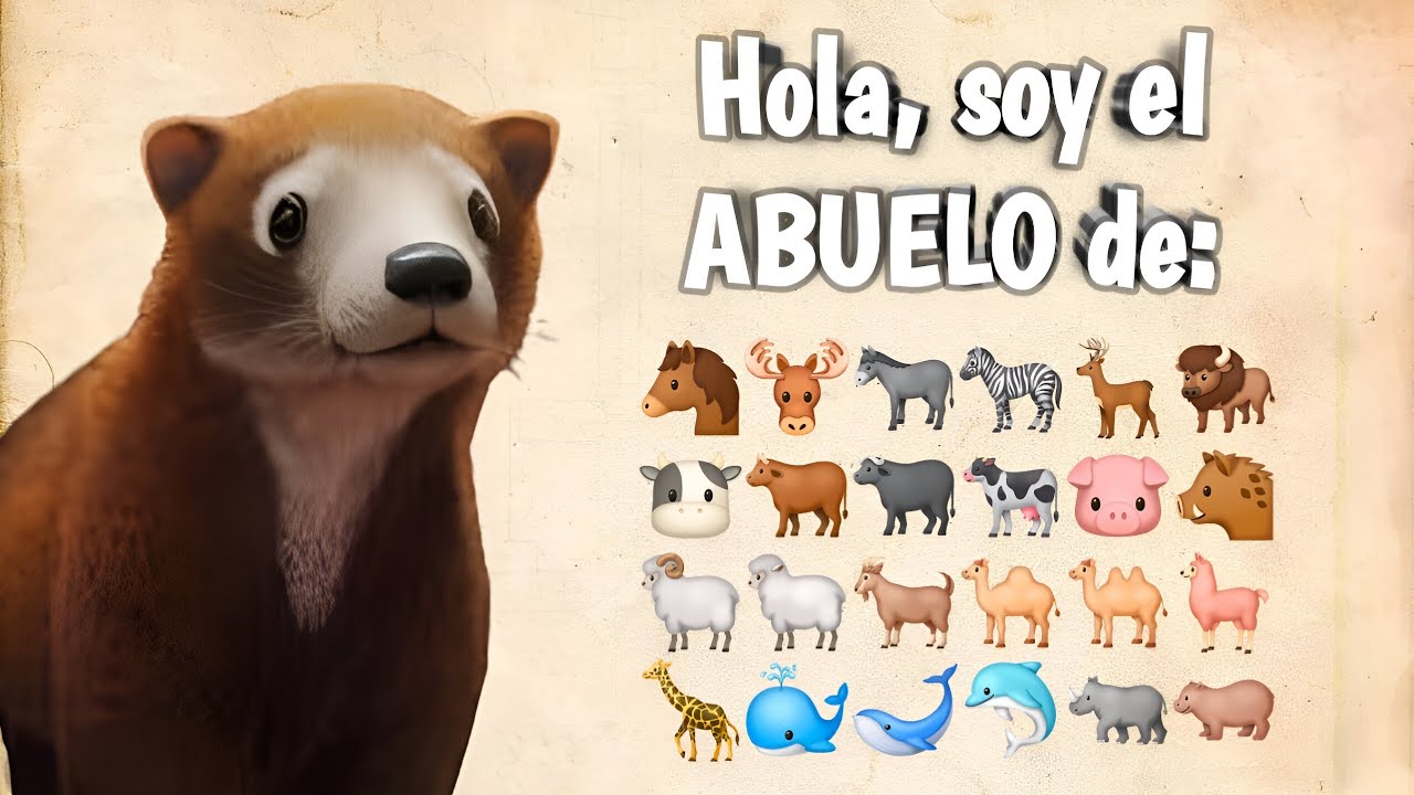 🦒Conoce al ABUELO de los UNGULADOS #Familia numerosa 🐋