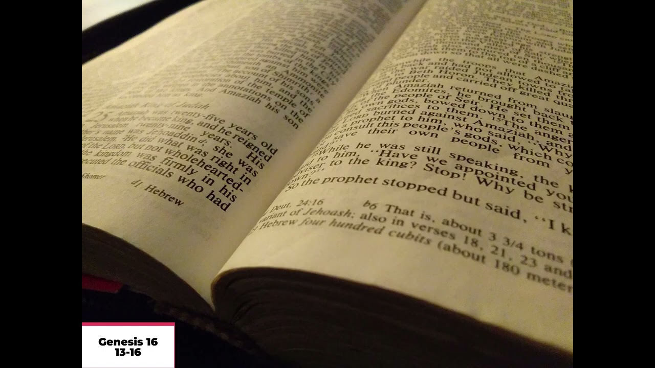 Daily Bible Reading: Genesis 16: 13-16