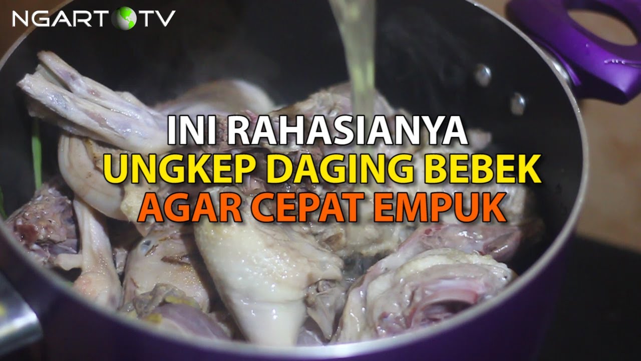 INI RAHASIA CARA UNGKEP DAGING BEBEK AGAR CEPAT EMPUK DAN TIDAK AMIS
