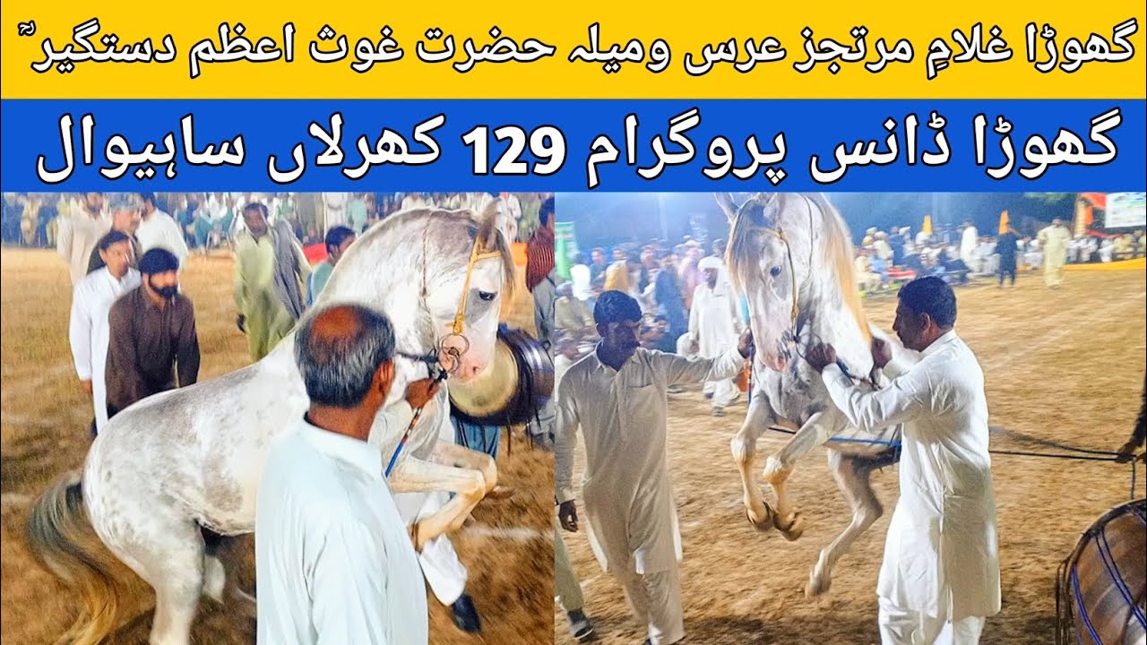 Ghulam E Murtajiz|The Most Insane Horse Dance Festival|Horse Dance in Pakistan|Punjabi festival|