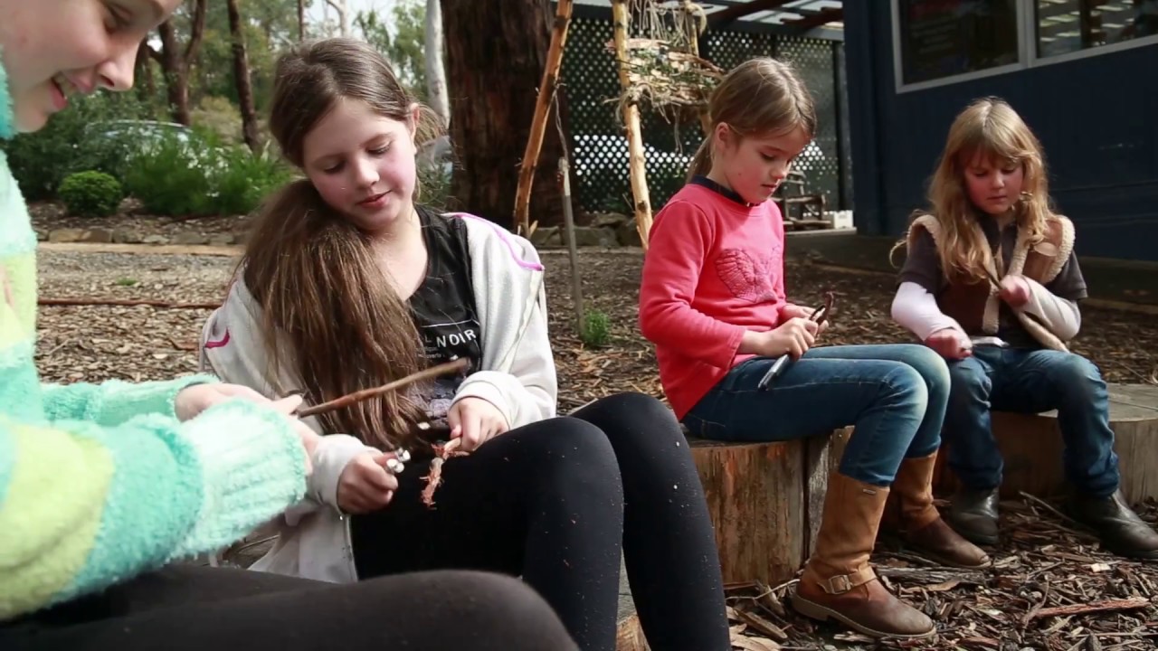 Learning in nature - an Upper Sturt Primary School case study