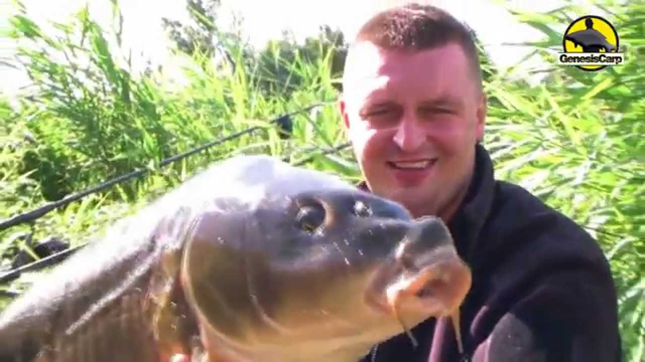 Karp to sens mojego życia - Genesis Carp Intro