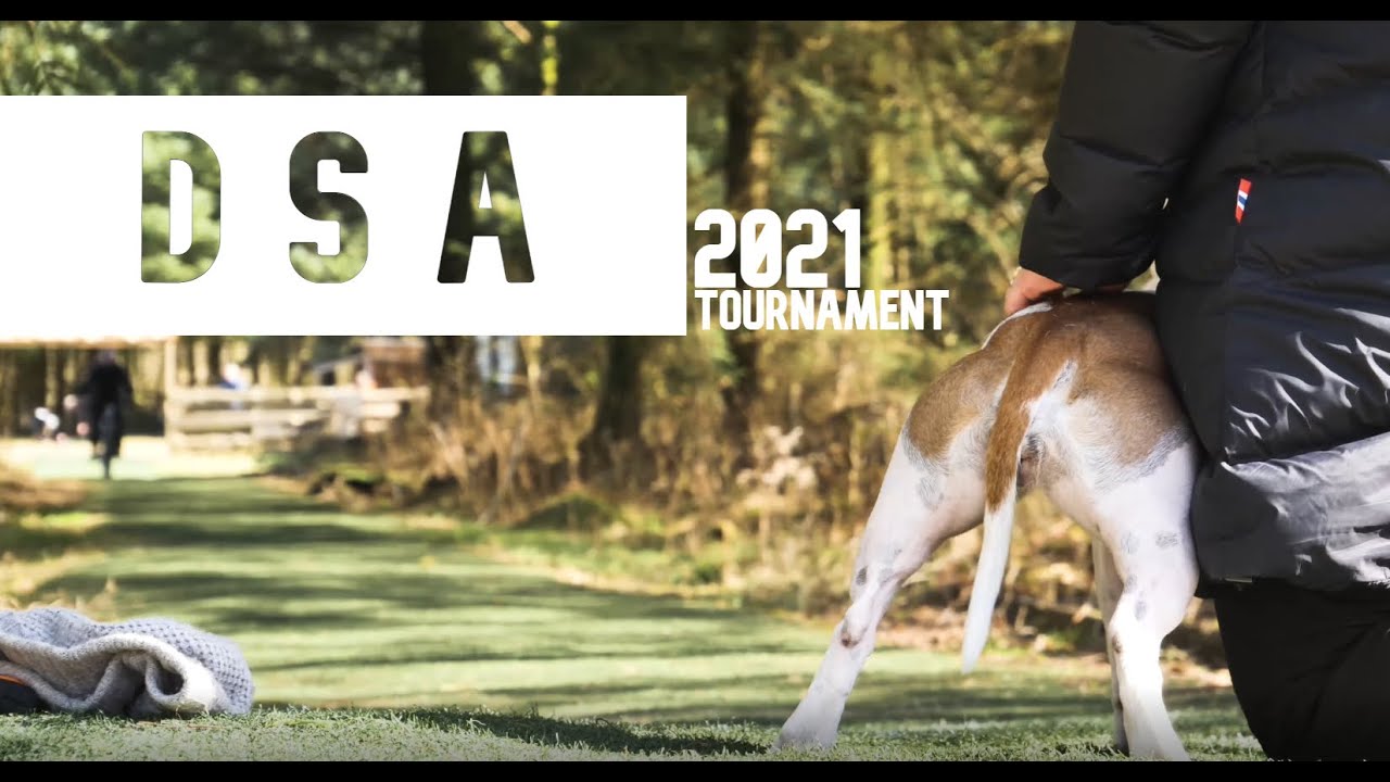 DSA 2021 | Official Aftermovie | 4K