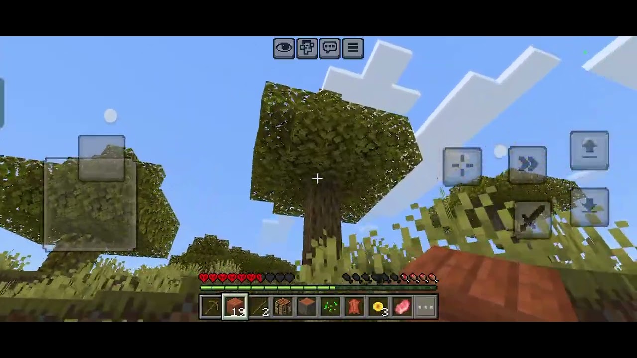 Minecraft video