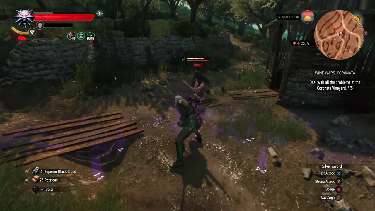 Hooded Women in Witcher 3 - Blood and Wine