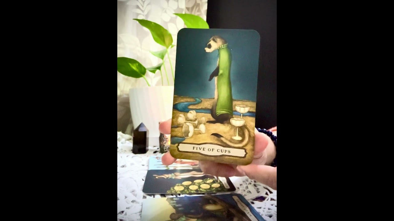 Collective Message-Transitioning towards recognition  # #singles #tarot #fyp  
