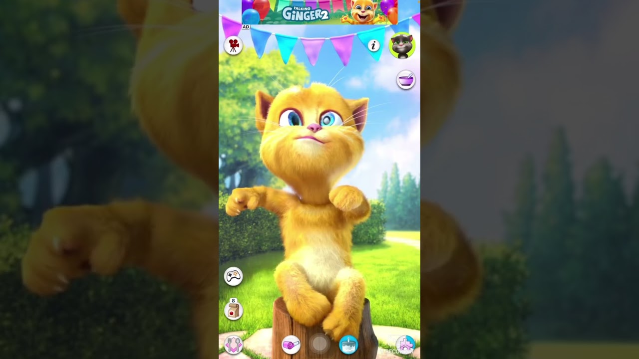 TomTalkingcat#funnyvideo#talkingtom#plzdosuporrtmychanlfriends#viralclips#youtube# 