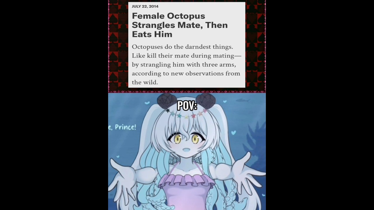 Female Octopus | #blacksouls #blacksouls2 #meme #Relateable