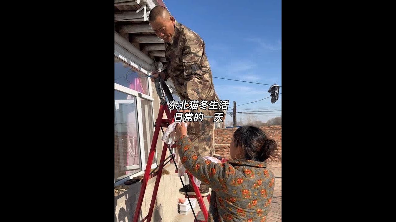 带大家看看在东北农村猫冬的一天 都干了点啥#青年创作者成长计划 #农村的冬天就是闲不住 #东北猫冬生活 #记录我的农村生活