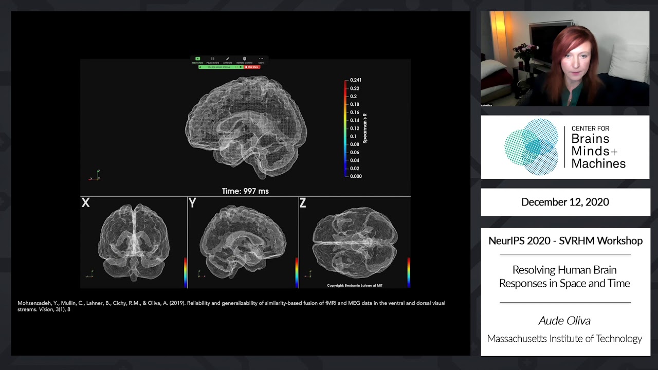 Resolving Human Brain Responses in Space and Time