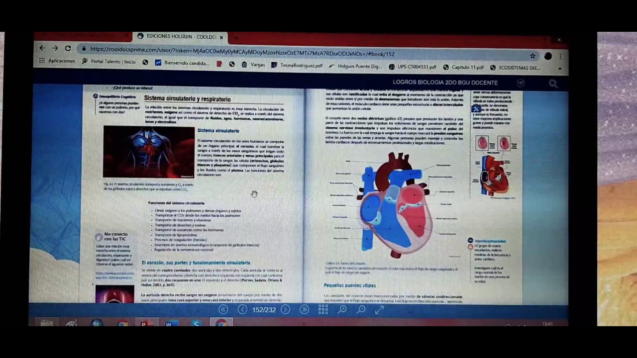 Sistema Circulatorio y Respiratorio - 2BGU