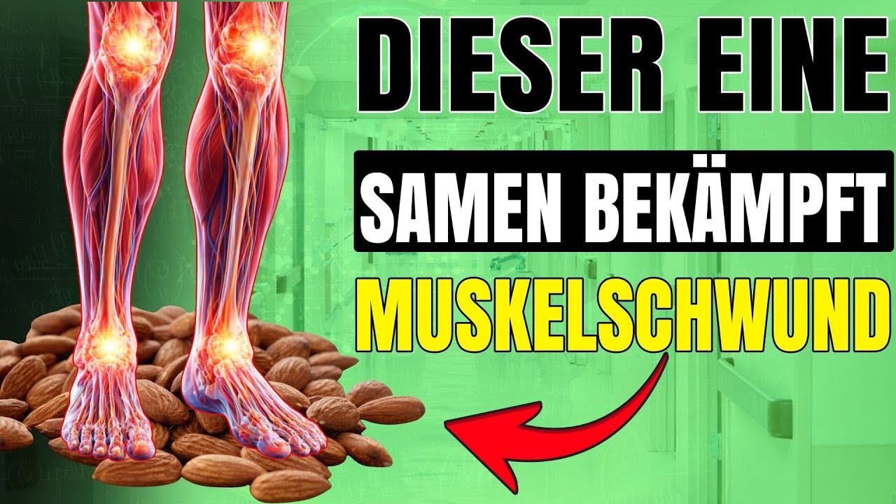 Die beste Samenart zur Stärkung der Beinkraft bei älteren Menschen – gegen Muskelschwund !