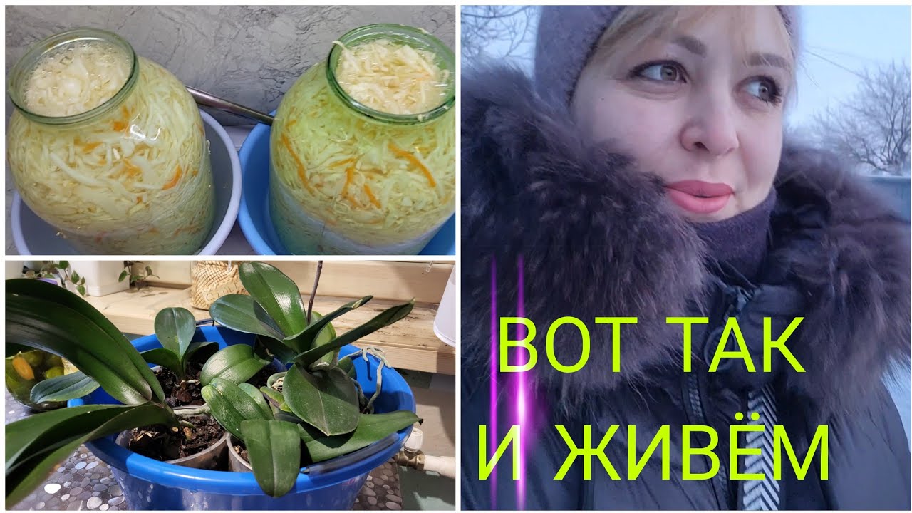 ХАРЬКОВ ‼️ВСЕ КАК ЕСТЬ‼️ЧТО БУДЕТ ДАЛЬШЕ❓️