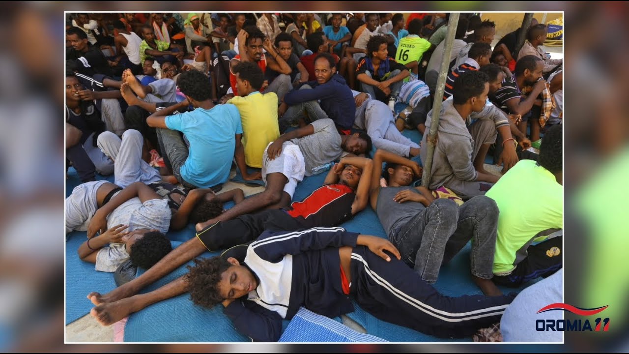 OROMIA11: ሰሞነኛ መረጃ 1-27-2026