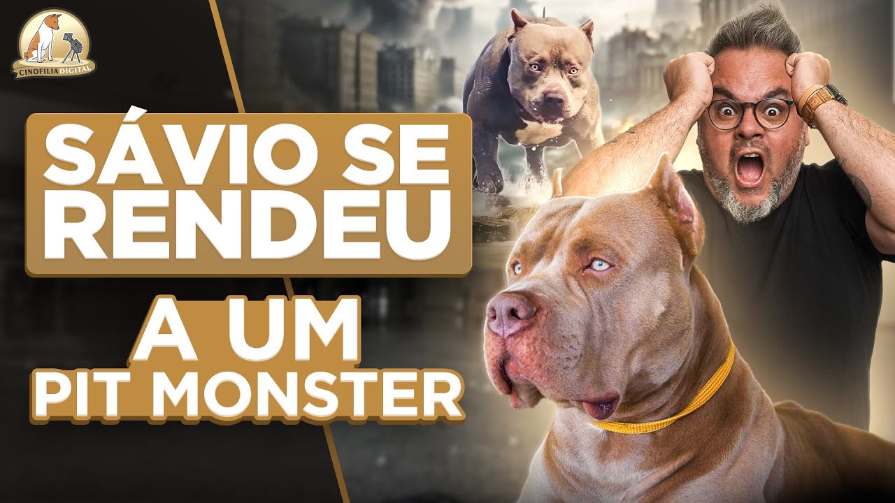 Brazilian Pit Monster | Ragnar | Cinofilia Digital