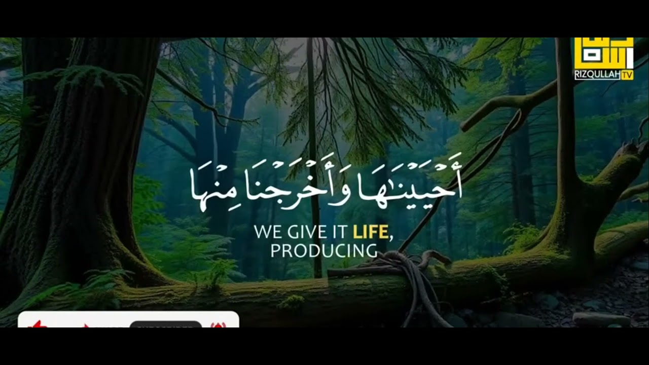 لبیک یا رسول اللہ ماشاءاللہ لبیک یا رسول اللّٰہ ماشاءاللہ 