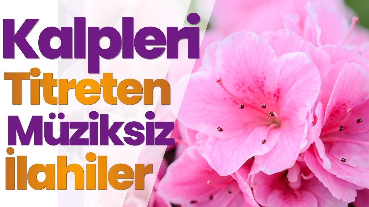 Kalpleri Titreten Müziksiz İlahiler #müziksizilahiler #ilahi