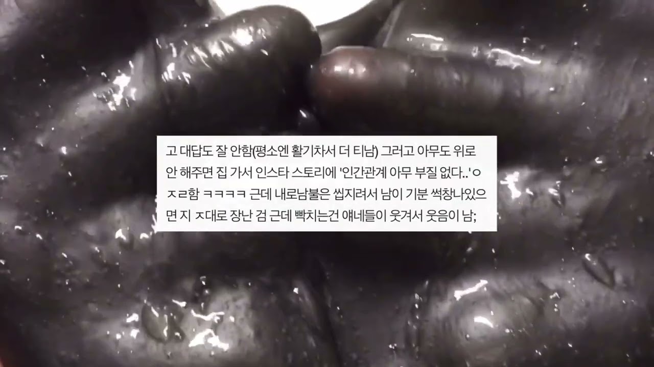 ENFP 내 주위 애들 특 시리즈 액괴 소규모 시리즈 액괴 네이트판 시리즈 액괴 꿀팁 시리즈 액괴 소시액 공론화 시리즈 액괴 네이트판 소규모 시리즈