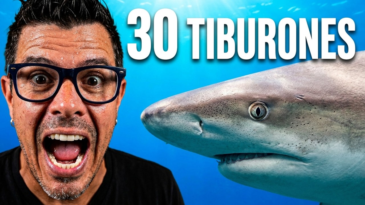 Buceo Épico en Cabo Pulmo 🌊 | Tiburones Toro, Naufragios y Vida Marina
