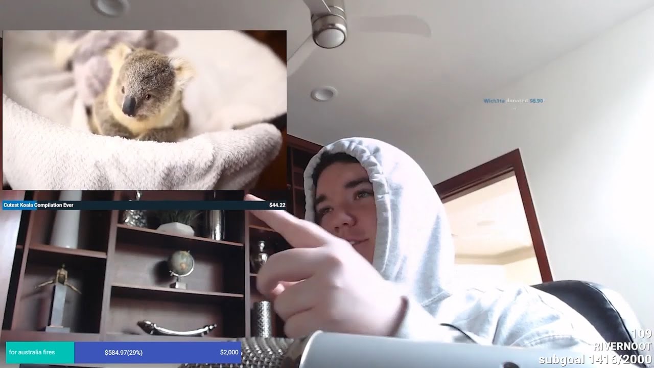 Traves reacts to cute Koalas