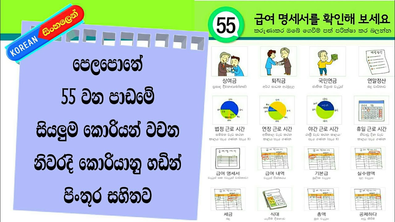 Learn Korean Words in Sinhala: Eps Topik Book Lesson 55 Vocabulary with Korean Pronunciation