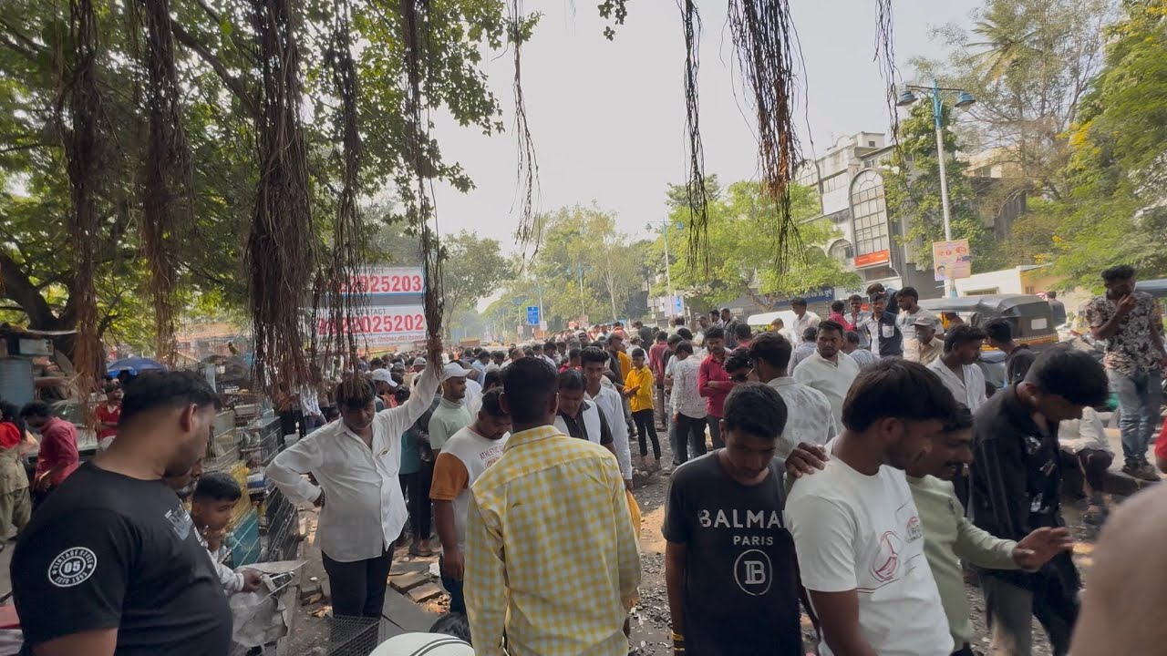 Exploring India’s Oldest Kabutar Bazar 🕊️ | 100 Years of Pigeon Passion in Pune