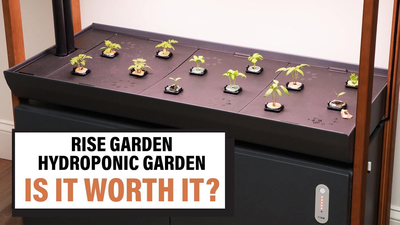 Rise Gardens Hydroponic Garden Review & Tour - Is it Better than Outdoor Gardening?