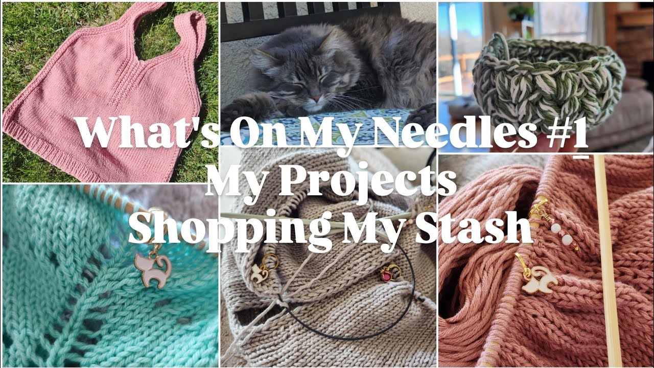 What's on my needles #1 ||my projects||shopping my stash