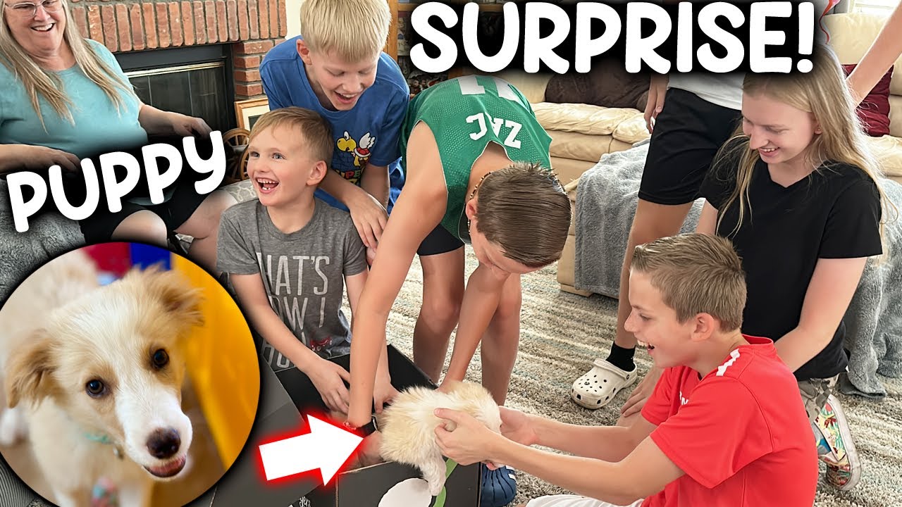 NEW PUPPY SURPRISE!!!!