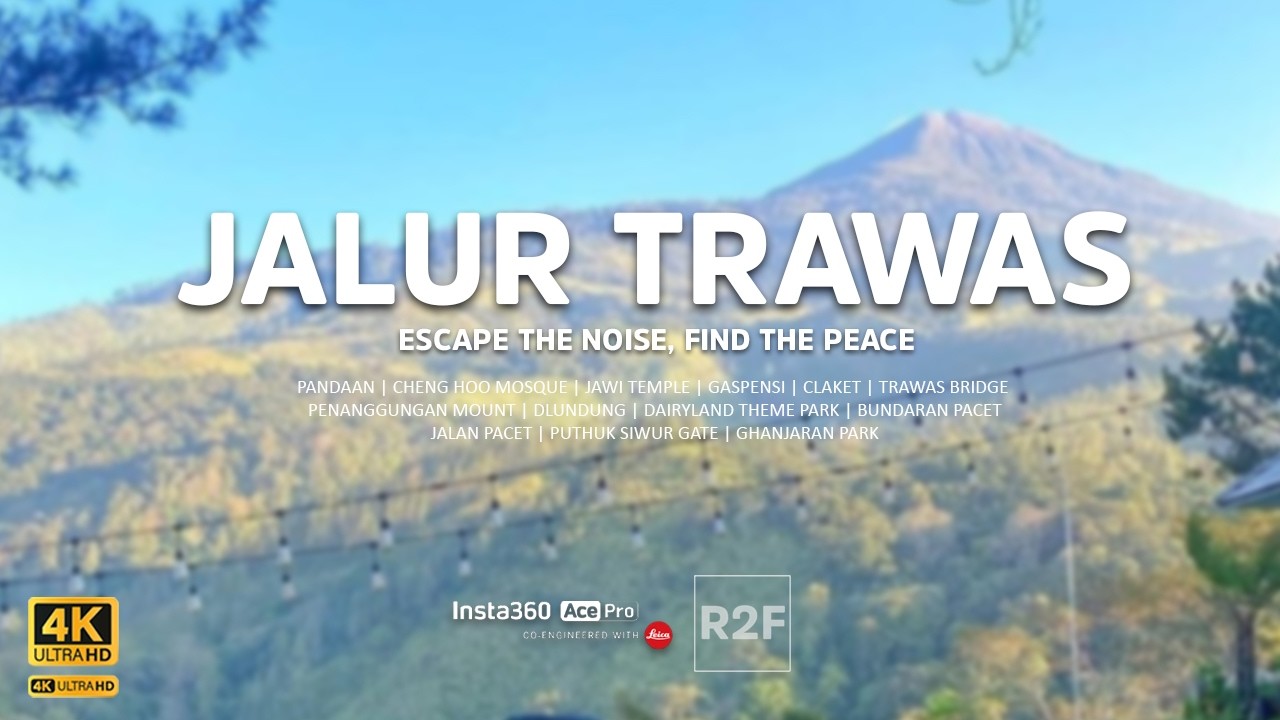 TRAWAS PACET EAST JAVA 4K - The Ultimate Nature Guide 2026
