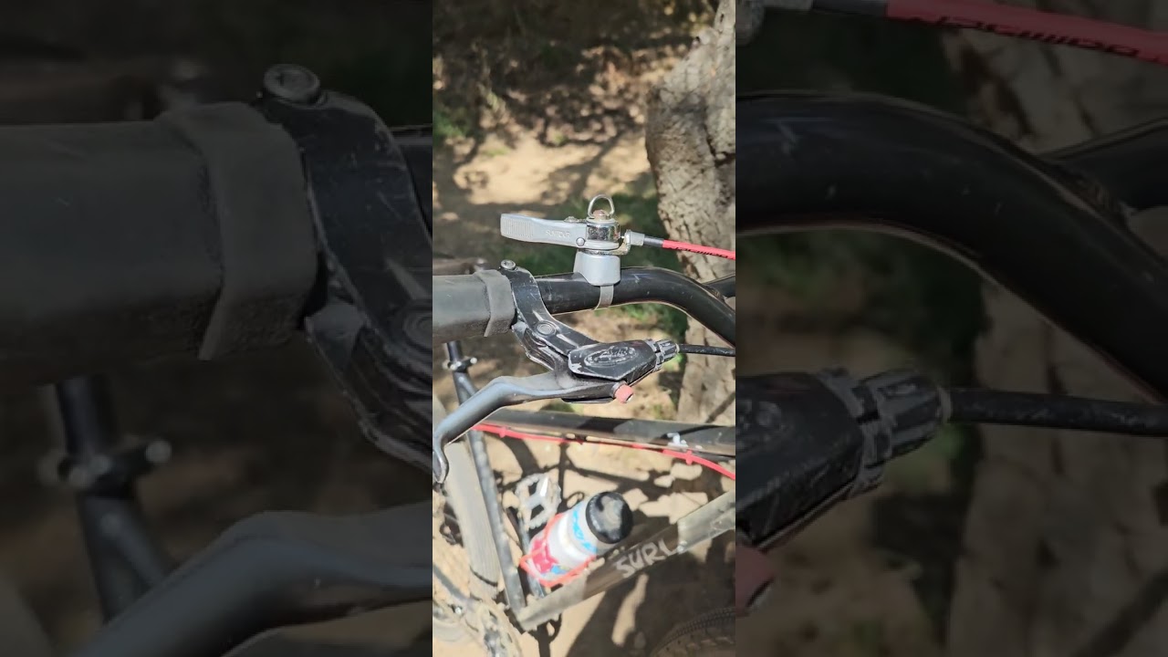 Surly 1x1 converted 1x8spd